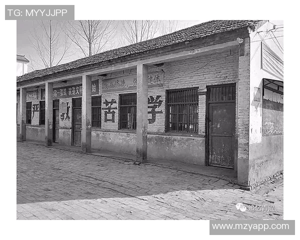 杨静专访：从青涩球员到篮球教练的成长之路与心路历程分享